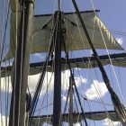 Tall Ships (zeilreuzen) SAIL Amsterdam 2020