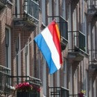 Nederlandse vlaginstructies