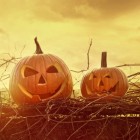 Halloween in Duitsland: susses oder saures!