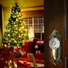 Kerstboom: Een versierde boom