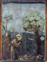 Bron: Giotto, Wikimedia Commons (Publiek domein)