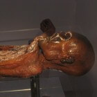Veel bekend over oermens door vinden van Ötzi de ijsman