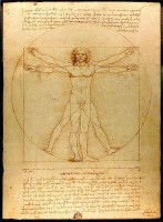 DaVinci's Vitruviusman / Bron: Leonardo da Vinci, Wikimedia Commons (Publiek domein)