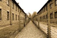 Treinwagon Auschwitz / Bron: ChristopherPluta, Pixabay