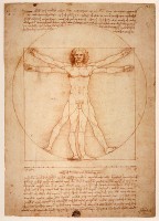 Bron: Leonardo da Vinci, Wikimedia Commons (Publiek domein)