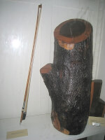 Brazielhout, ook wel roodhout genoemd, was één van de houtsoorten die door de VOC werd ingekocht als verfhout / Bron: Daderot, Wikimedia Commons (Publiek domein)
