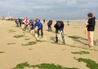 De stokjes van het gehele waddengebied weer opruimen / Bron: Persbureau Ameland