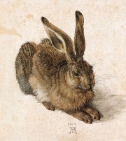 Een jonge haas, Dürer (1502) / Bron: Web Gallery of Art, Wikimedia Commons (Publiek domein)