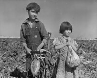Kinderen uit Nebraska, VS met suikerbieten in 1940 / Bron: L. C. Harmon, Wikimedia Commons (Publiek domein)