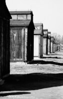 De barakken van Auschwitz / Bron: Ksolberg, Flickr (CC BY-2.0)